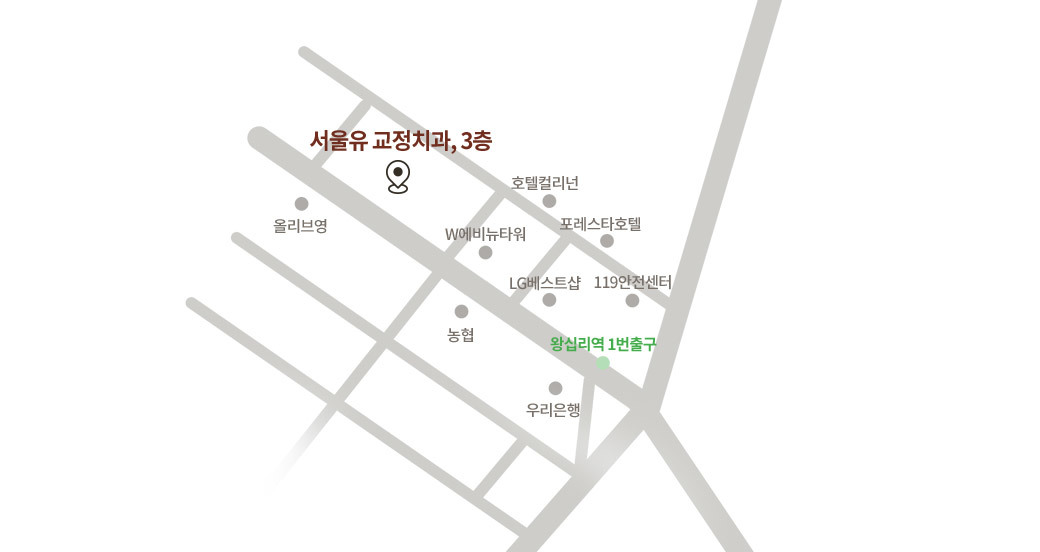 서울유교정치과 약도